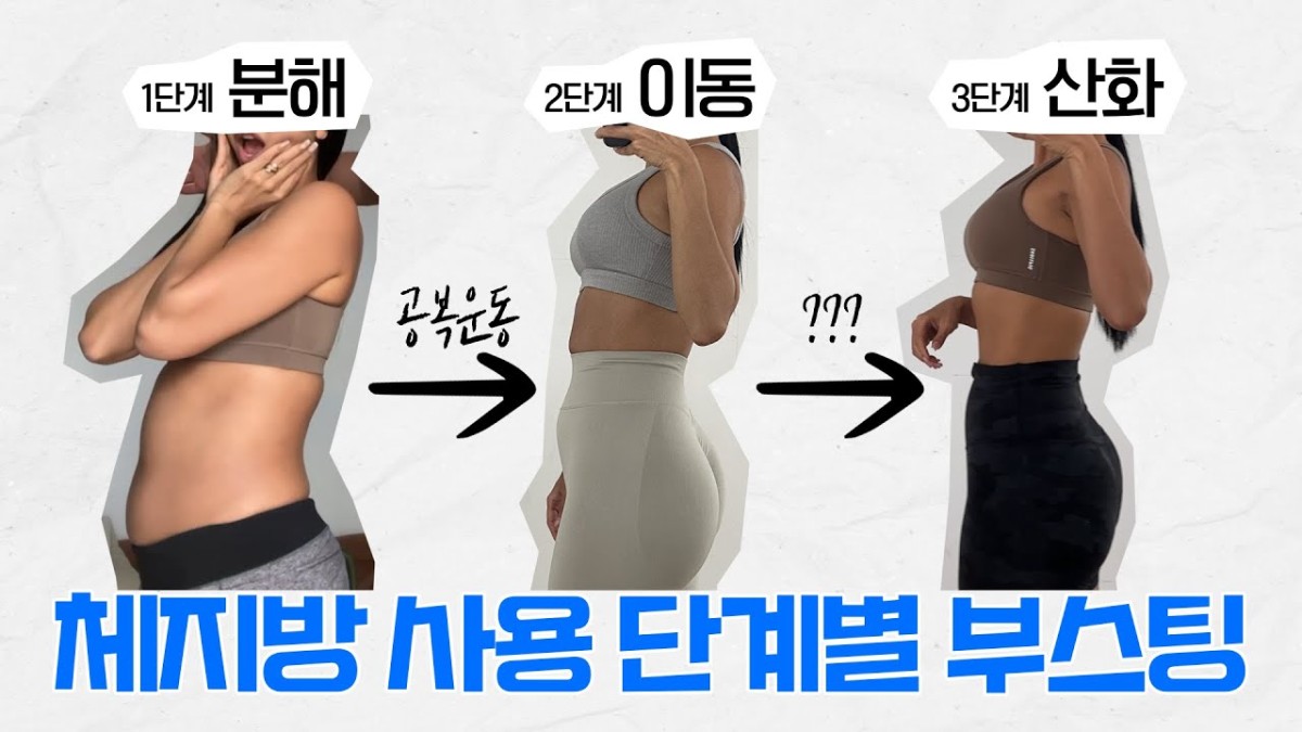 네이버 인플루언서: 제이제이 살롱드핏의 홈 [네이버 인플루언서] 제이제이 살롱드핏