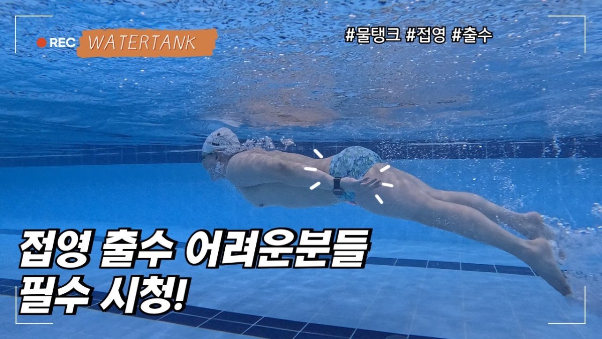 네이버 인플루언서: 물탱크의 홈 [네이버 인플루언서] 물탱크
