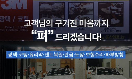 덴트닥터 이미지