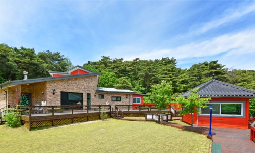 힐링포레스트 이미지