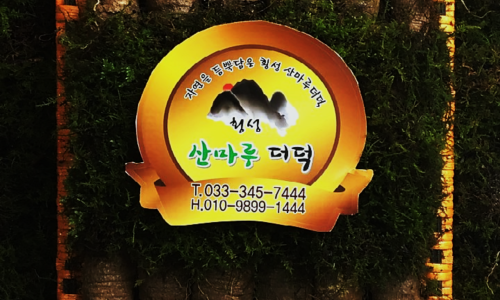 횡성산마루더덕 이미지