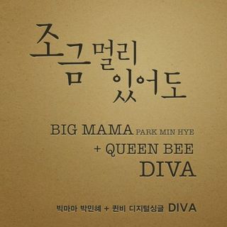 퀸비(Queen Bee) 이미지