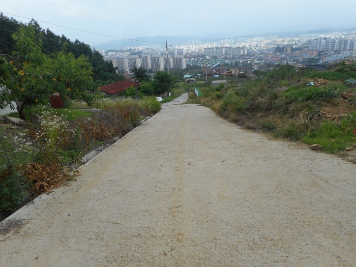 더과수원 이미지