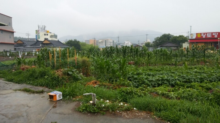 오류리(화순) 이미지