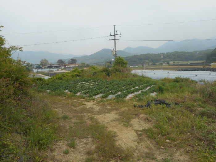 이담리 이미지