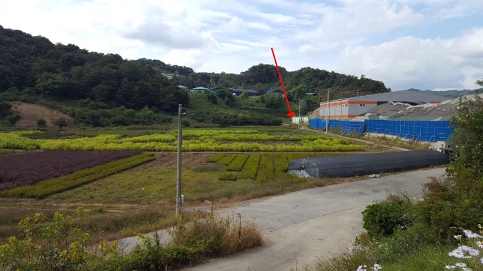 진안전컨설팅 이미지