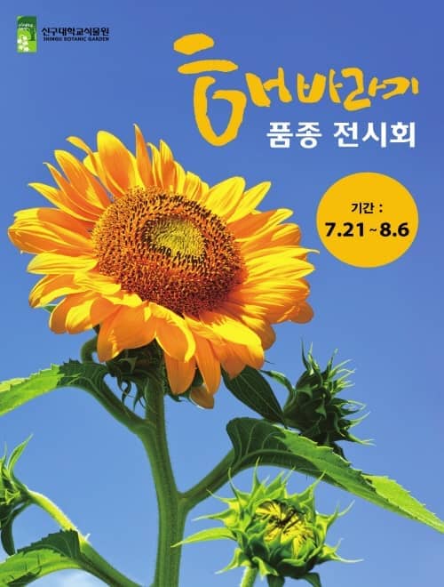 태양꽃식물원 이미지