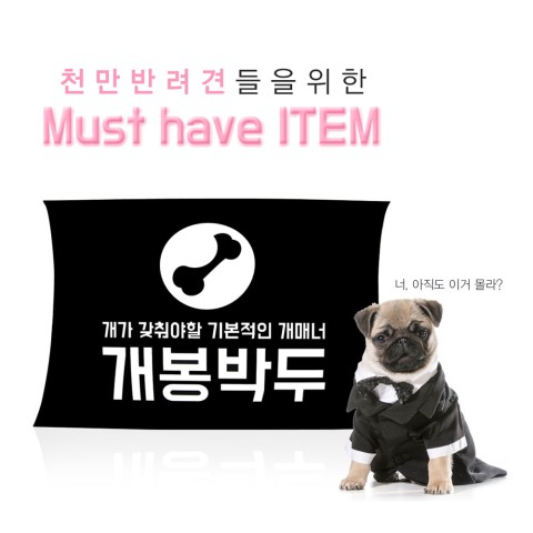 애니락 이미지