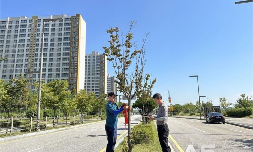 수목개발 이미지