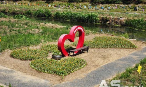 꽃으로노래하다 이미지