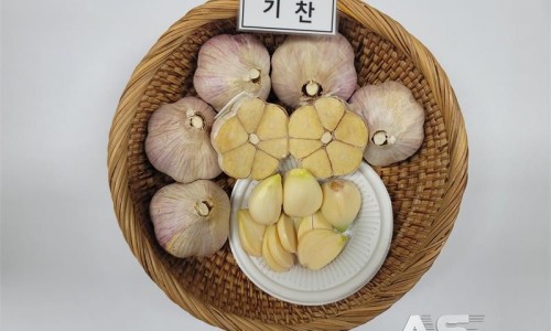 기찬기술 이미지