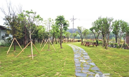 도고초등학교 이미지