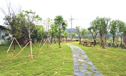 도고초등학교 이미지