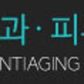 아름다울:연(娟) 이미지