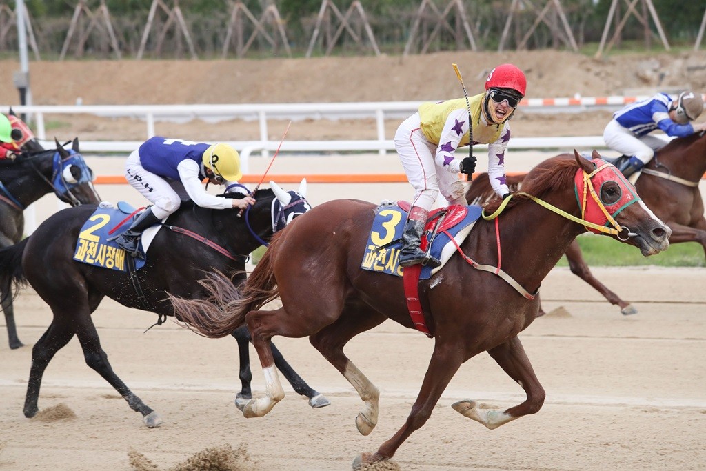 환호축산 이미지