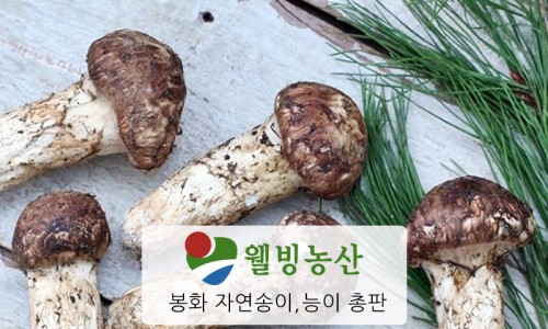 봉화농산 이미지
