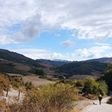 산티아고순례길 이미지