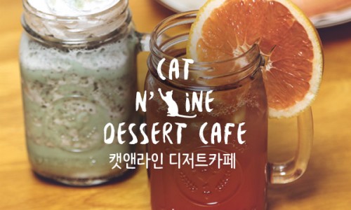 카페 커피캣 이미지