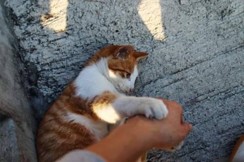 가을무렵 이미지