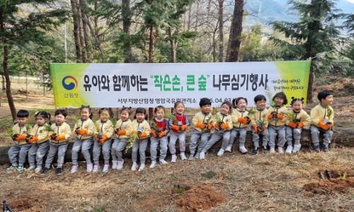 송산물빛 유아숲체험원 이미지