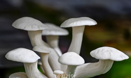 (주)세종기획 이미지