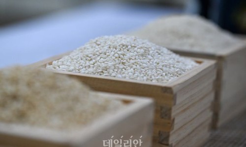 도담기획 이미지