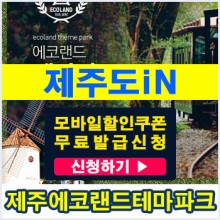 에코에듀스튜디오 이미지