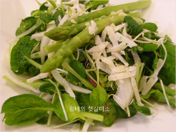 그린자기 이미지
