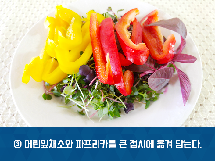 청춘오리 이미지