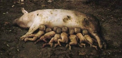 전 세계가 놀랄 일 : 네이버 블로그