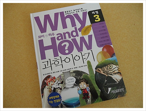 와이앤 이미지