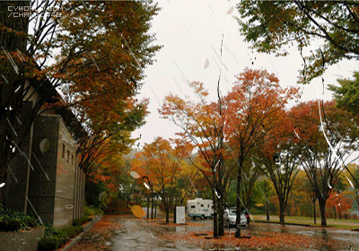 참좋은파출부 참좋은사람 이미지