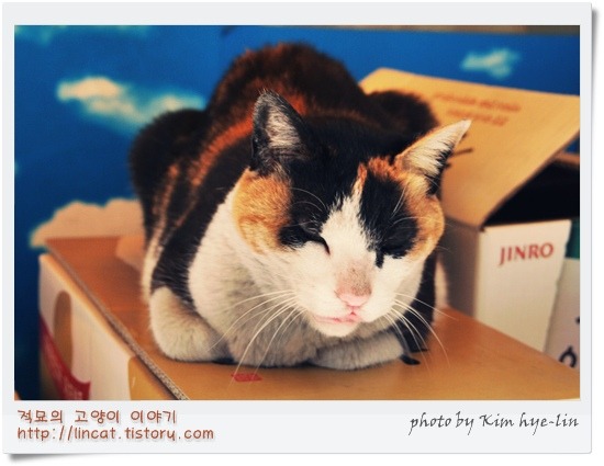 구리수퍼 이미지