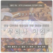부리나치킨 이미지