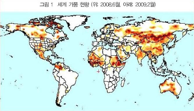 곡물이야기 이미지