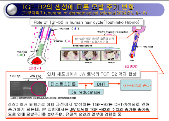 해피메이커 이미지