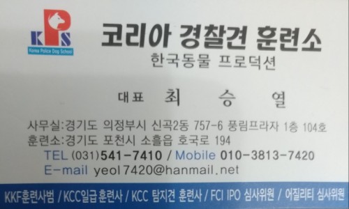 고고코리아 이미지