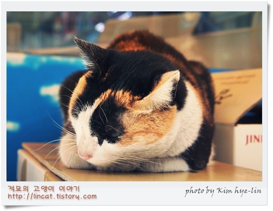 구리수퍼 이미지