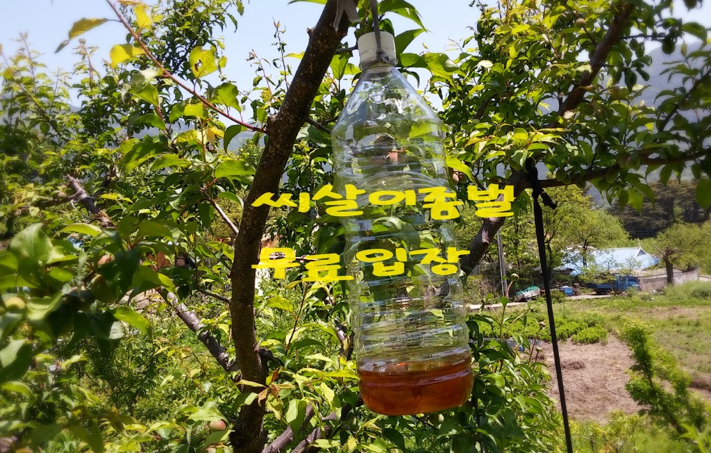 지리산혁이네 이미지