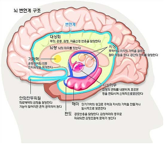 아이정보21 이미지