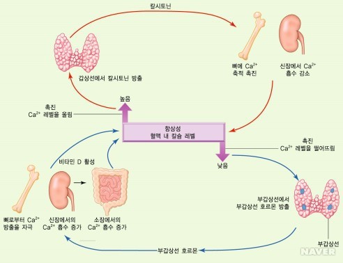 락스포츠 이미지