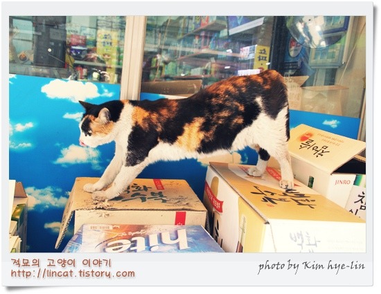 구리수퍼 이미지