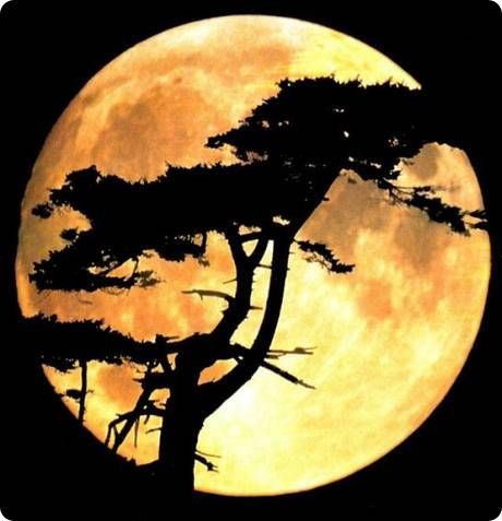 달아달아 이미지