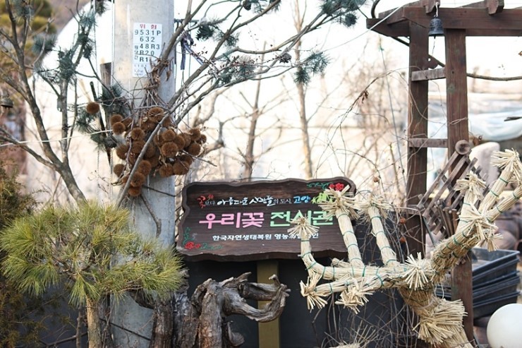 야생화농원 이미지