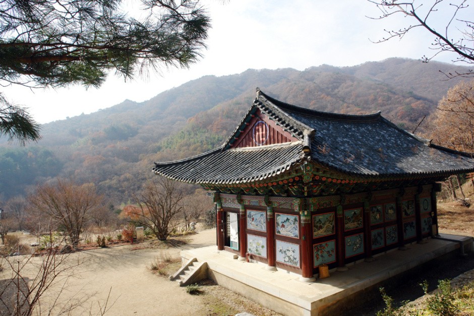 지장수식품 이미지