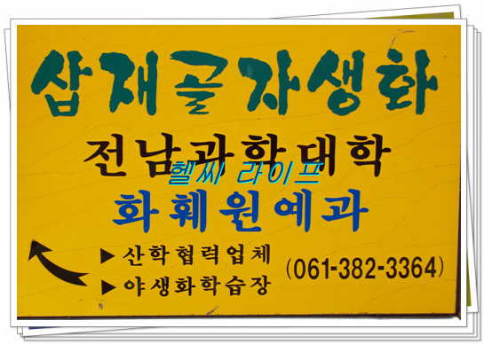 호정투어 이미지