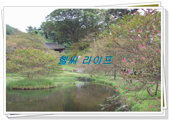 호정투어 이미지