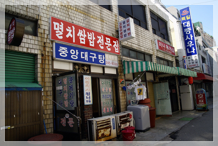 중앙멸치 이미지