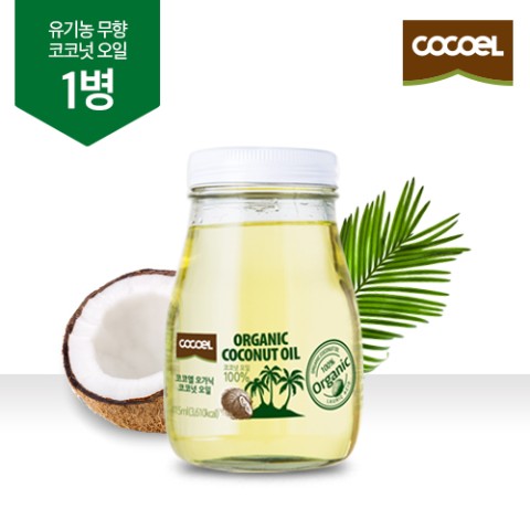 코코엘 이미지