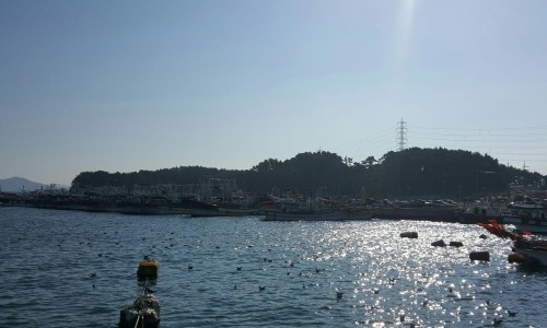신성수산 이미지